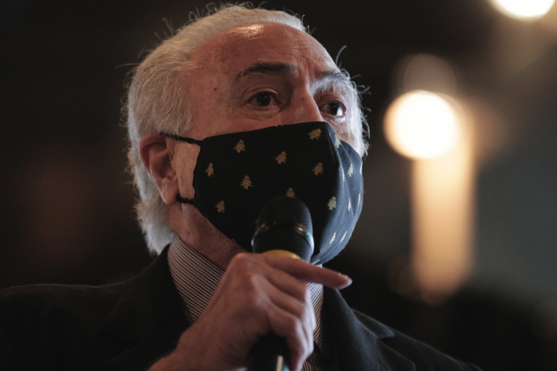 Ex-presidente Michel Temer Macaque in the trees