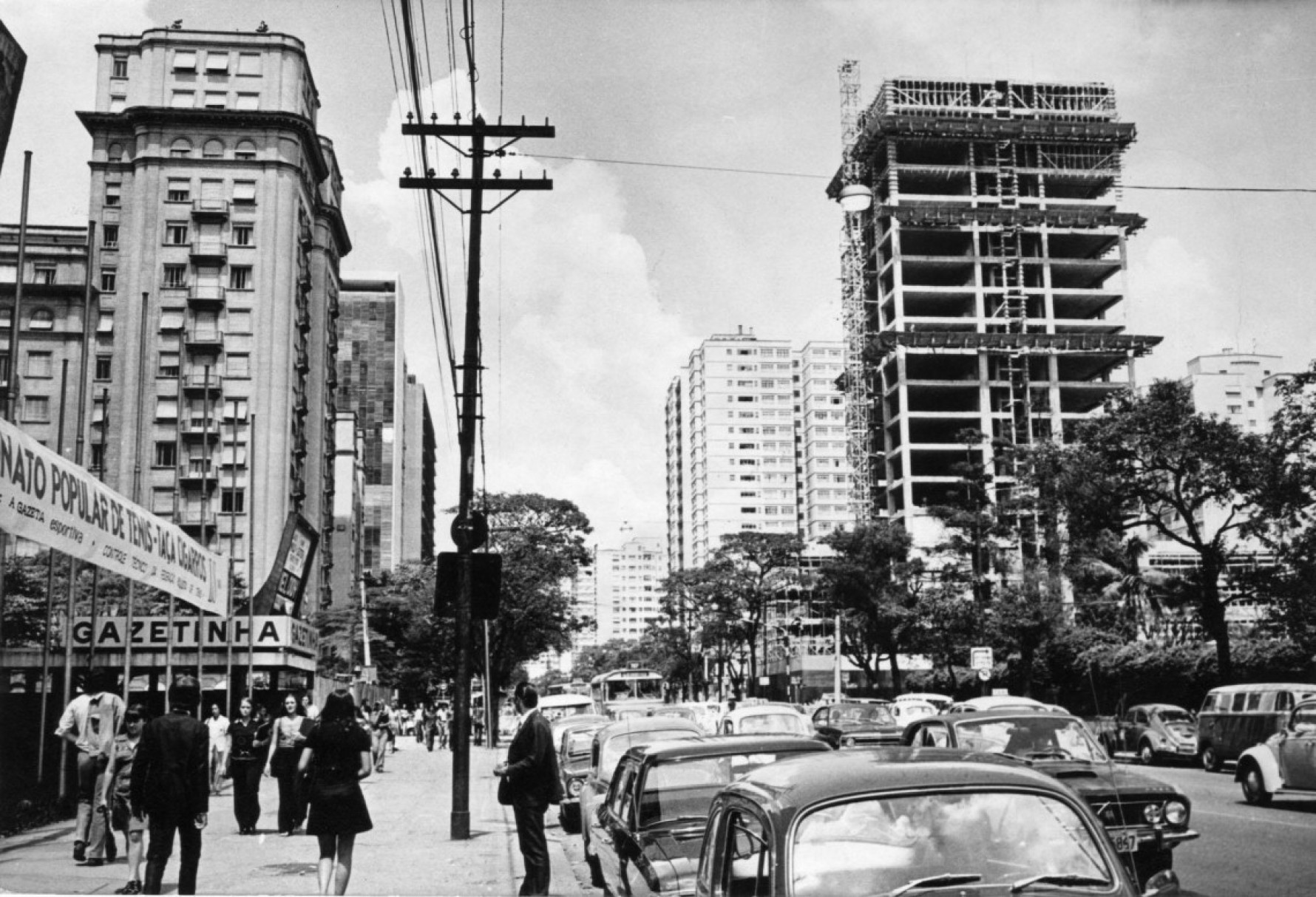 Avenida Paulista tem parte de sua extensão no bairro da Bela Vista. Na foto, a Avenida em 1972 Macaque in the trees