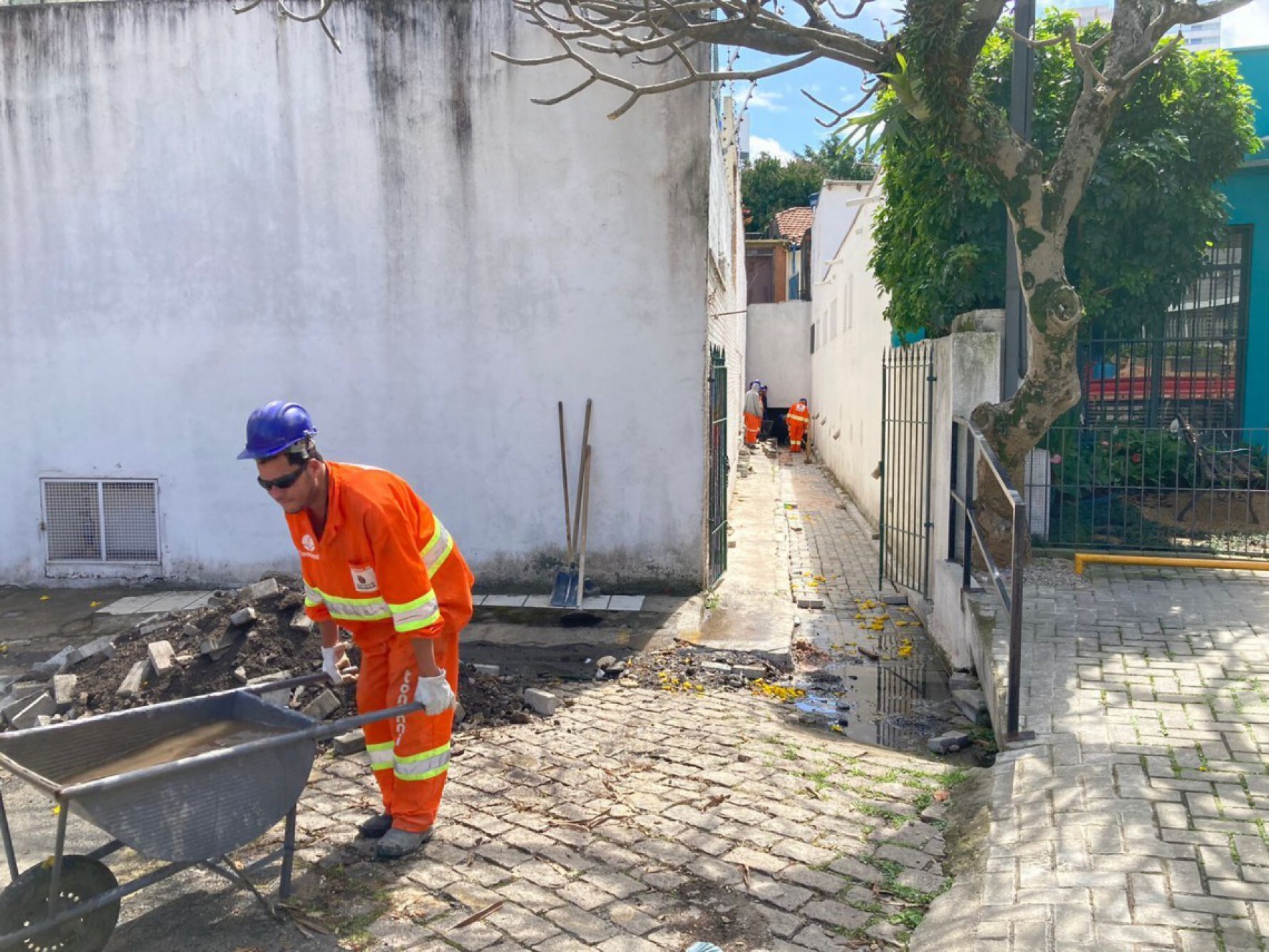 Obras no córrego Sapateiro, na Vila Mariana, zona sul de São Paulo Macaque in the trees