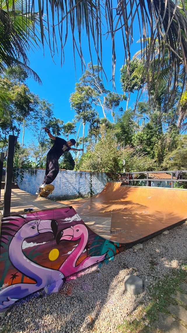 A adoção de uma pista de skate ajudou na recuperação do Surf Base Hostel, após a crise provocada pela pandemia Macaque in the trees