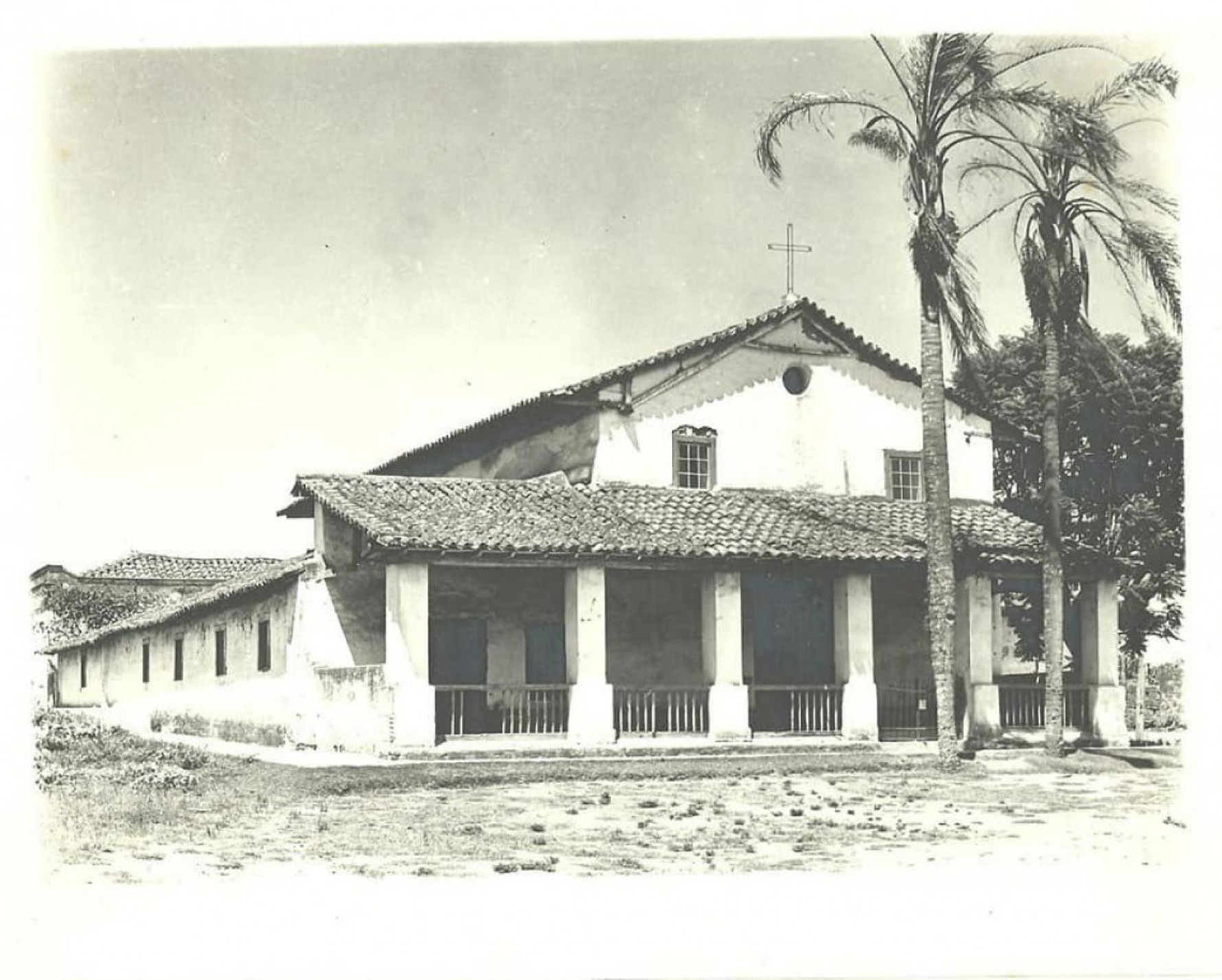 A Capela de São Miguel Arcanjo tem importância vital para a história do bairro, pois foi a partir de sua conclusão, no ano de 1622, que o bairro começou a crescer Macaque in the trees