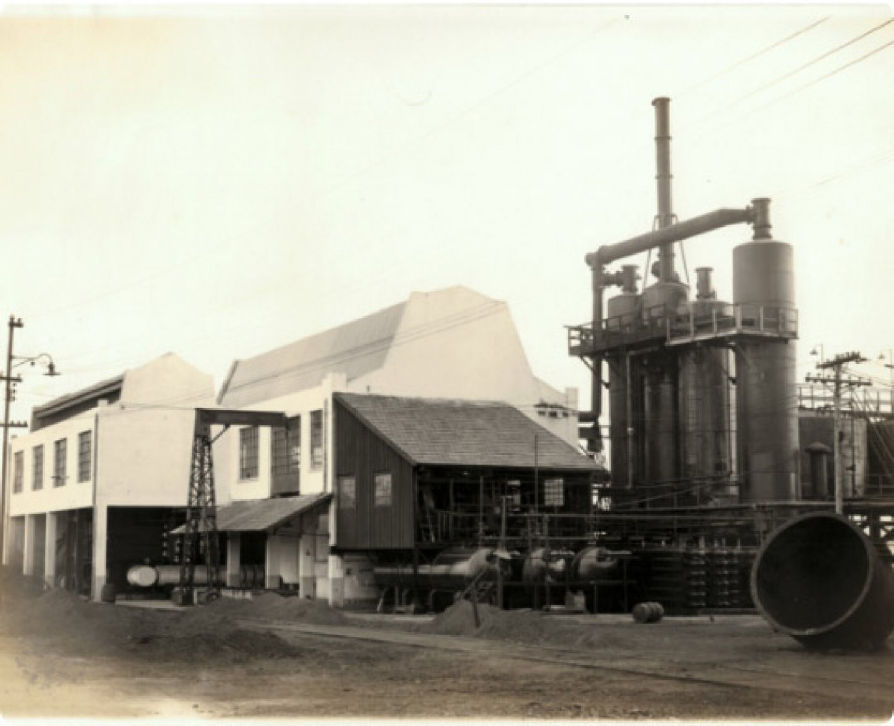A Companhia Nitro Química Brasileira foi fundada em 11 de setembro de 1935 e atraiu muitos trabalhadores para a região Macaque in the trees