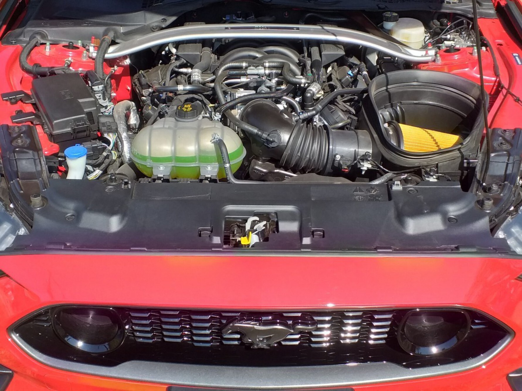 Modelo traz motor Coyote V8 5.0 e transmissão automática de 10 velocidades, com calibração exclusiva para a versão, que gera um ganho de 17 cavalos Macaque in the trees