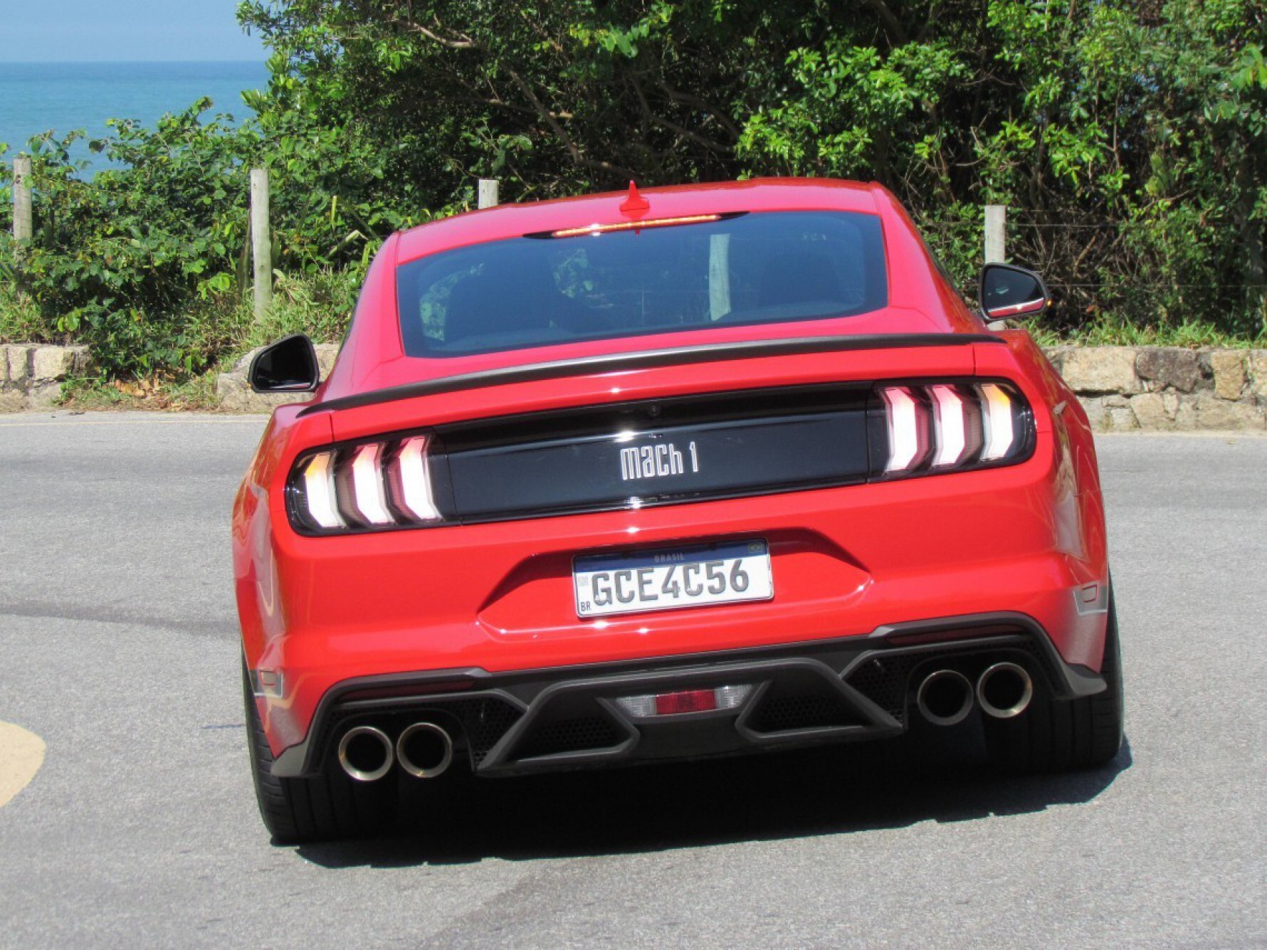 Na parte de trás, se destacam o elegante aerofólio e as quatro ponteiras de escapamento integradas, originárias do Shelby GT500, além das lanternas unidas por uma faixa preta que ostenta a assinatura Macaque in the trees