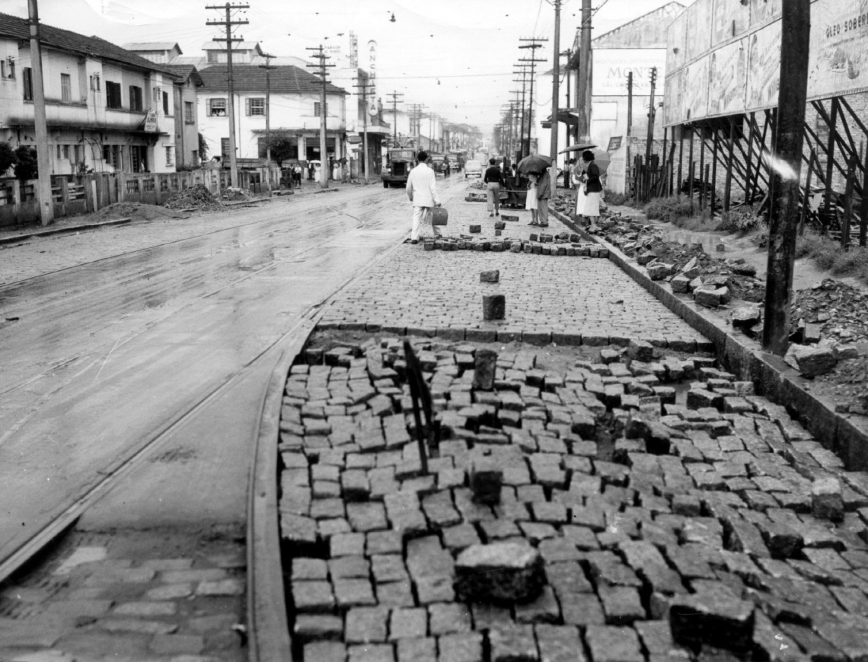 Vista de rua no bairro do Ipiranga em São Paulo. 29 01 1953 Macaque in the trees
