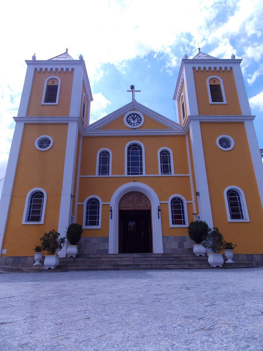 Igreja São Pedro de Tremembé, fundada em 1926 Macaque in the trees