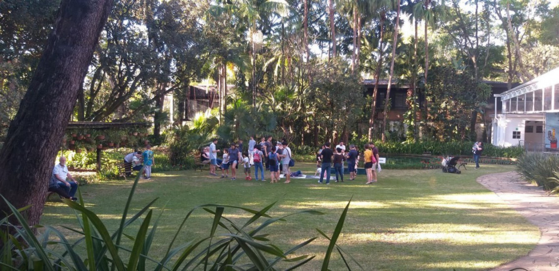 O Museu Ema Klabin terá ação focada no público infantil Macaque in the trees