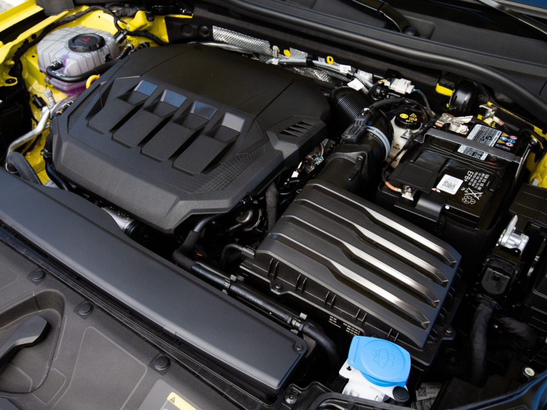 A nova geração do A3 sedã e Sportback chega com o motor 2.0 TFSI a gasolina, que entrega potência de 190 cavalos e torque de 32,6 kgfm Macaque in the trees