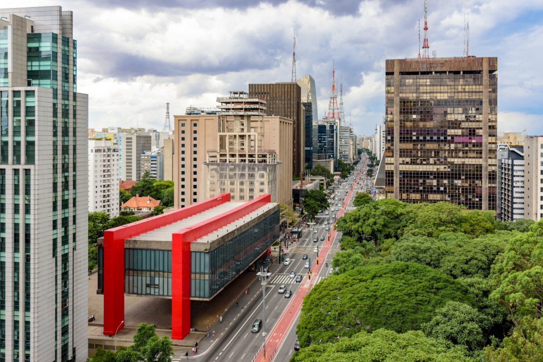 Grandes prédios começaram a surgir nos anos de 1950 Macaque in the trees