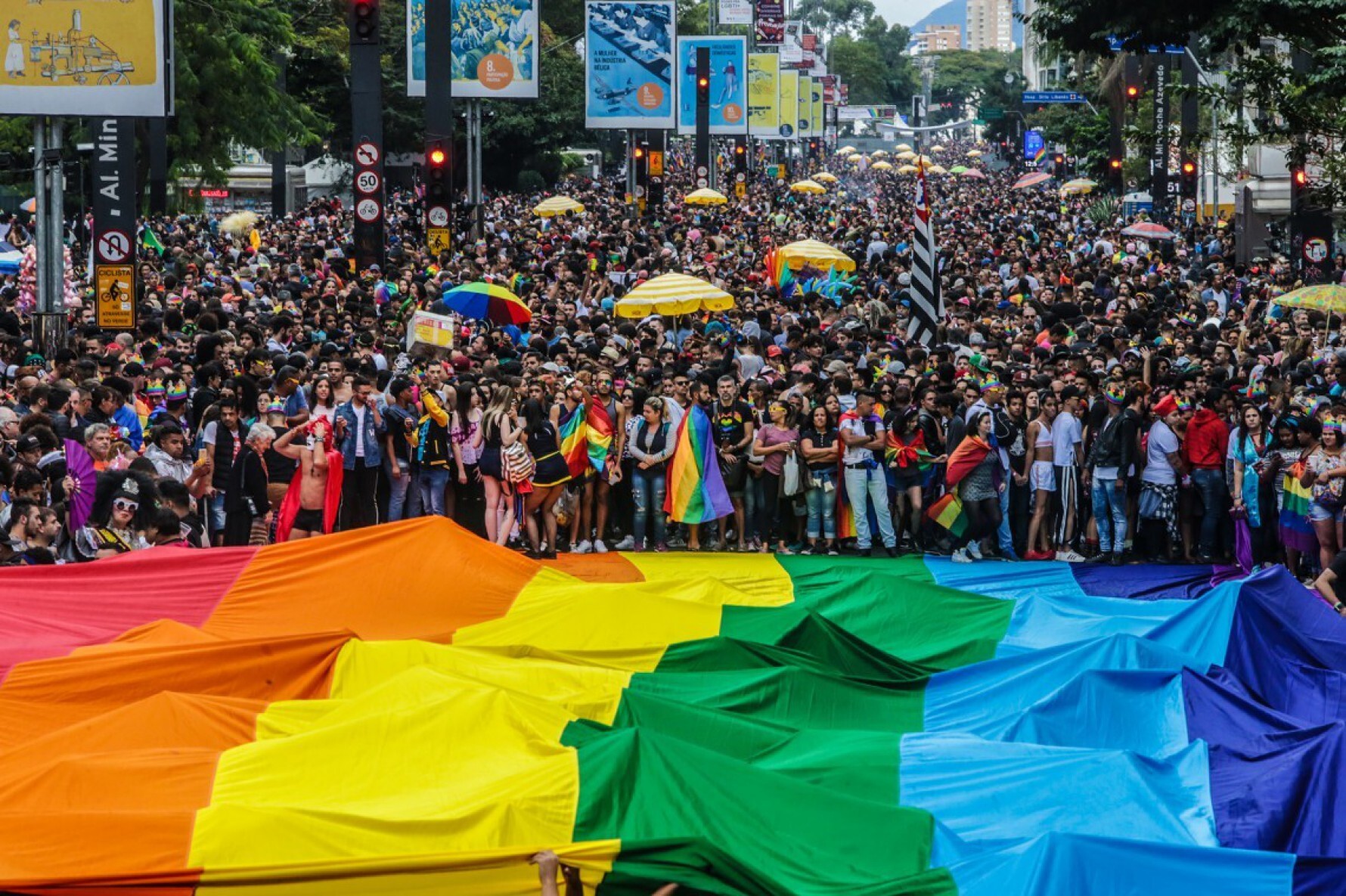 Paulista é palco da maior Parada do Orgulho LGBT do mundo Macaque in the trees