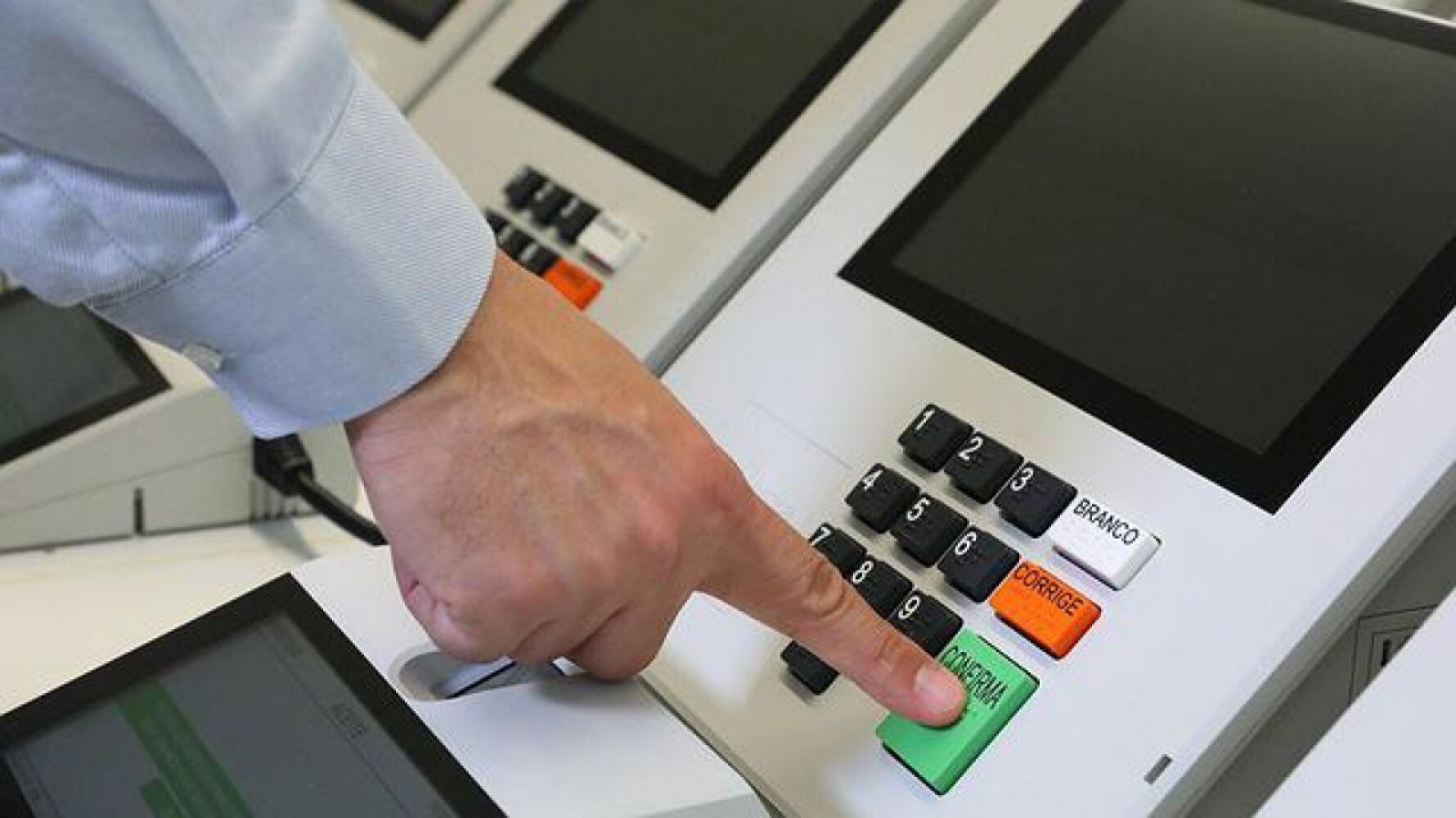 Especialista acredita que eleições 2022 será a maior da história Macaque in the trees