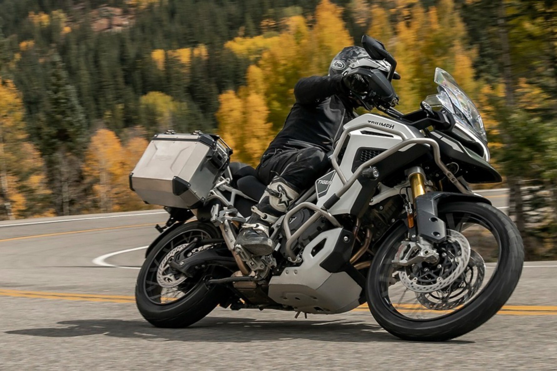 A Triumph apresenta, pela primeira vez, uma Tiger equipada com tanque de combustível de 30 litros na Rally Explorer Macaque in the trees