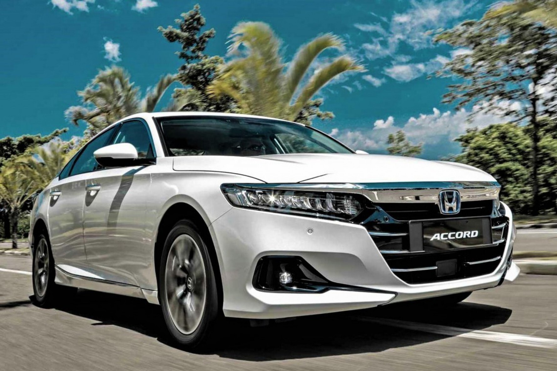 Honda Accord Hybrid Macaque in the trees
