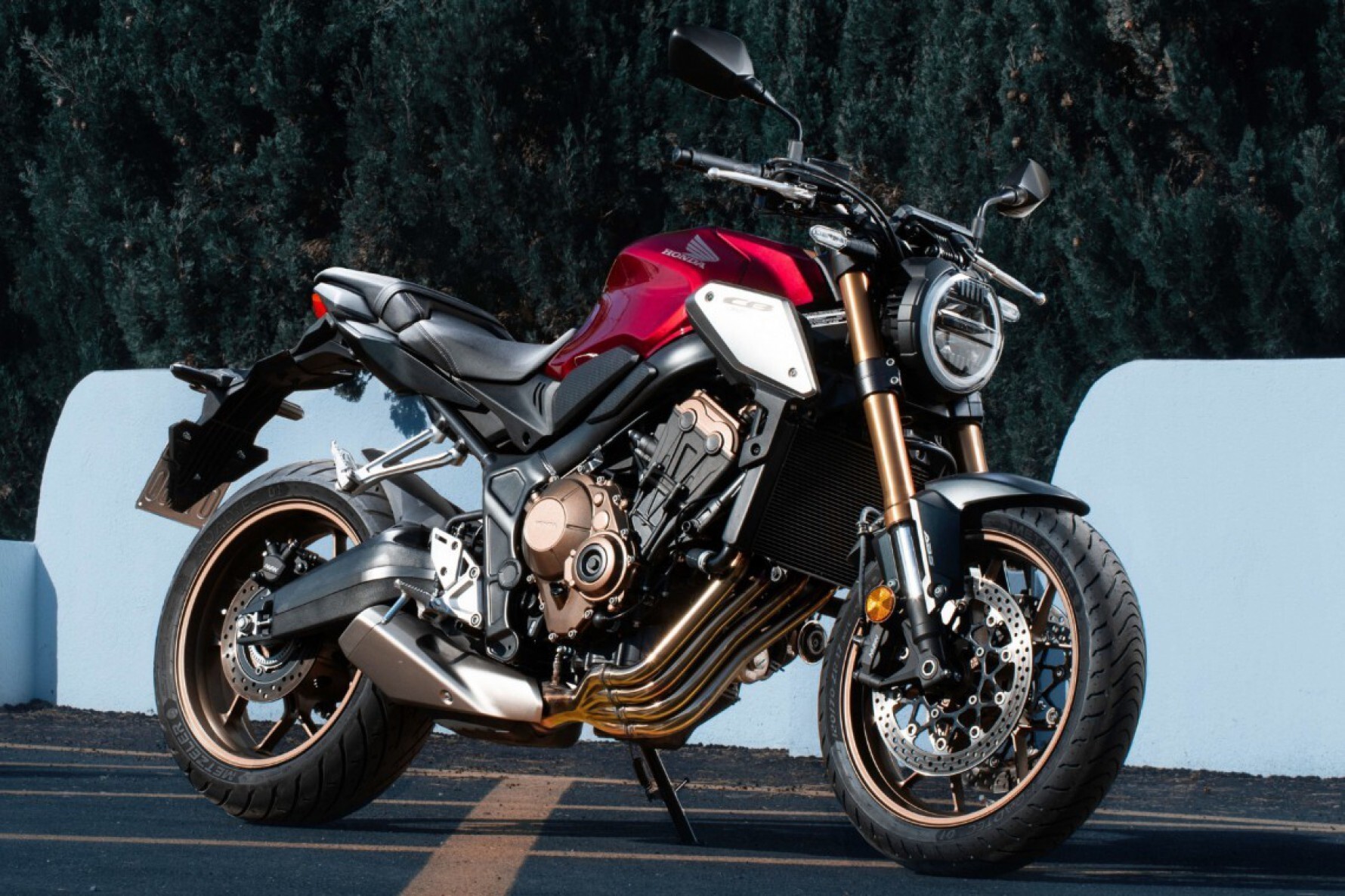 A CB 650R 2022 chega às concessionárias com preço sugerido de R$ 47.350 Macaque in the trees