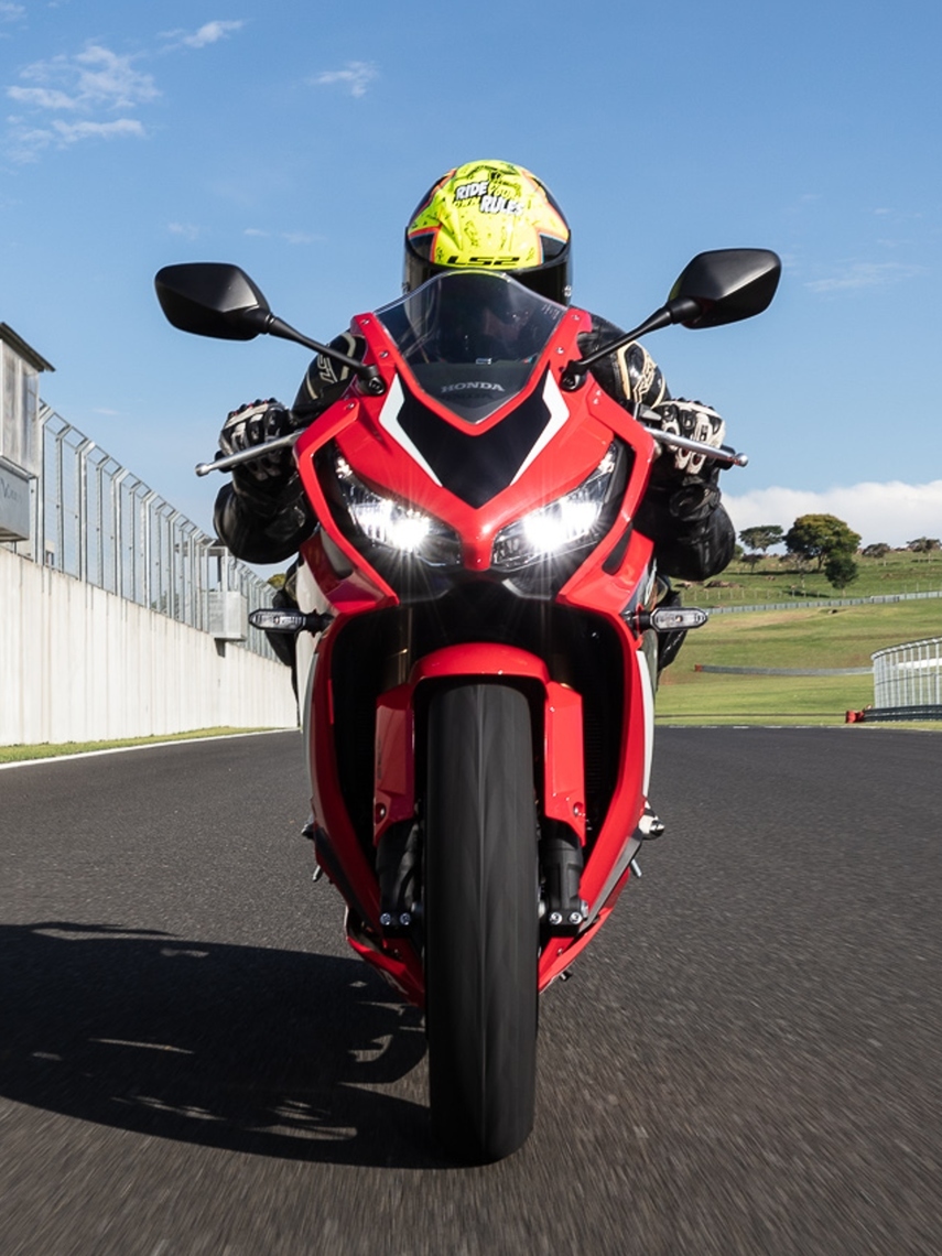 Motos compartilham o motor DOHC de quatro cilindros em linha arrefecido a líquido de exatos 649 cc, com potência de 88,4 cavalos a 11.500 rpm e torque de 6,13 kgfm a 8 mil rpm Macaque in the trees