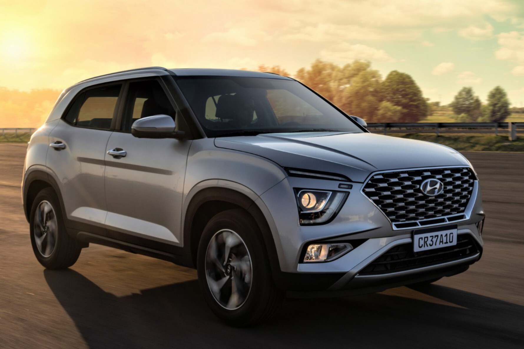 Hyundai Creta Macaque in the trees