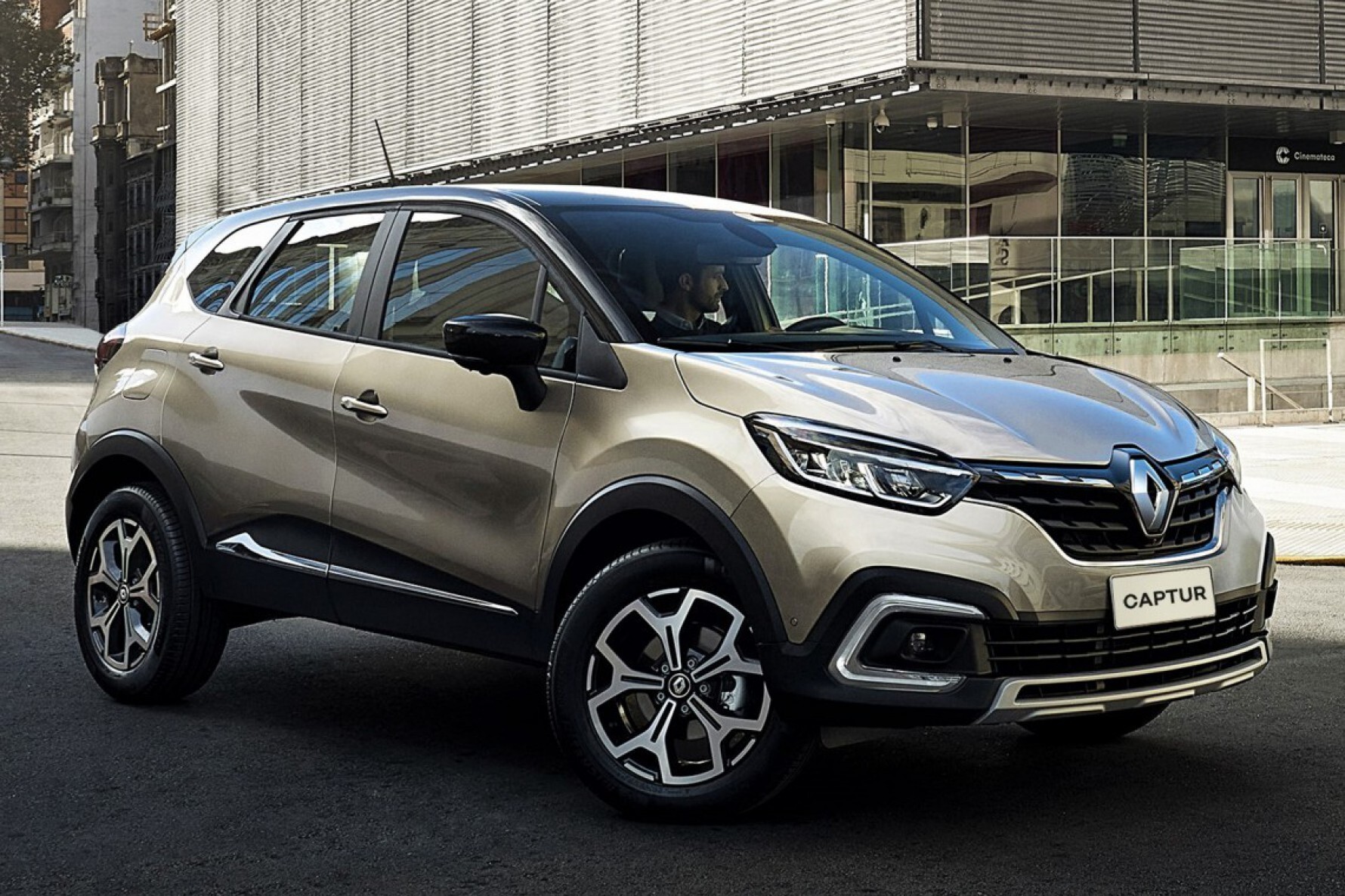 Renault Captur Macaque in the trees