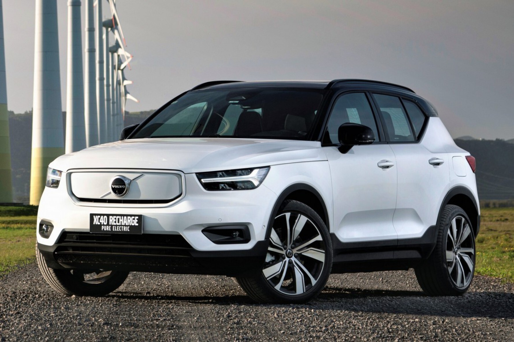 Volvo XC40 Pure Eletric Macaque in the trees