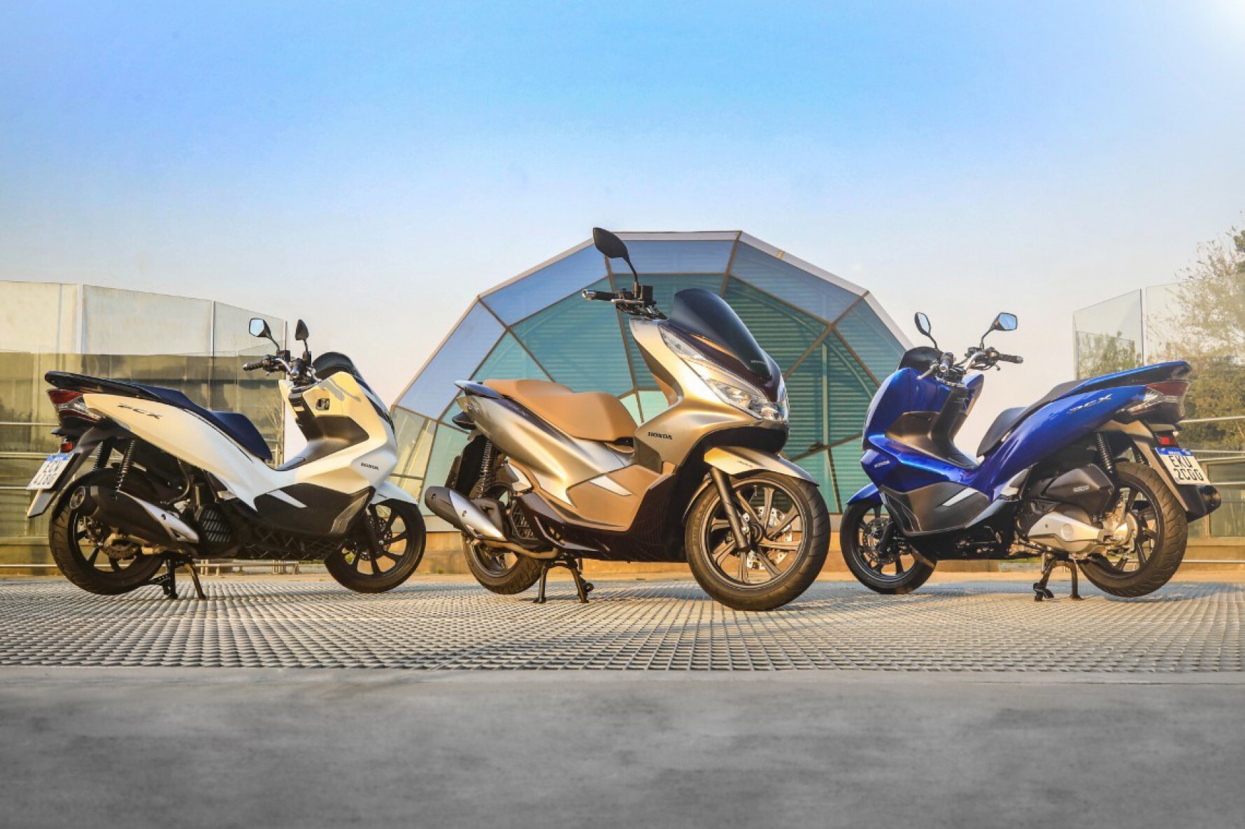 As scooters foi a categoria que registrou o maior crescimento anual e o modelo mais vendido do segmento foi a Honda PCX, com 28.142 emplacamentos Macaque in the trees