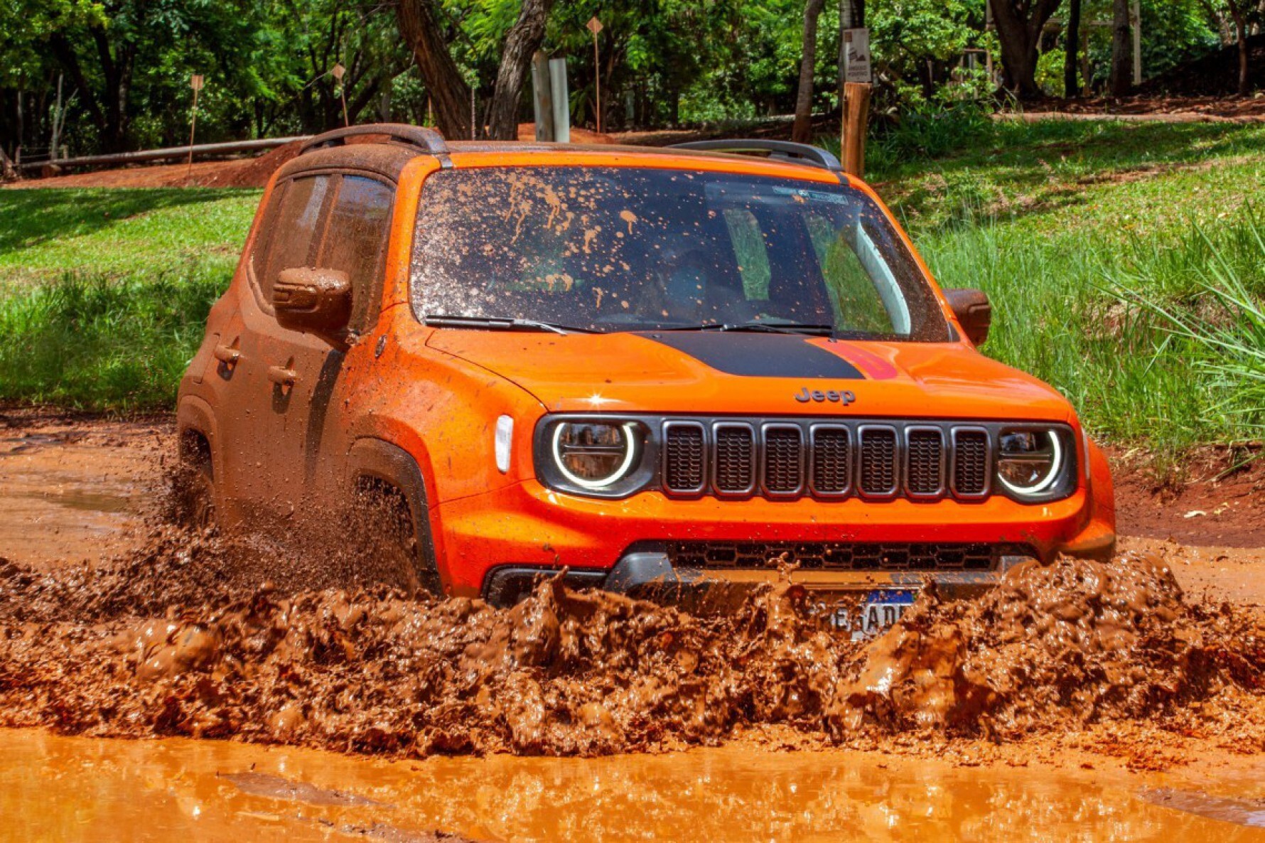 Jeep Renegade Trailhawk T270 Turbo Flex AT9 4x4 Macaque in the trees