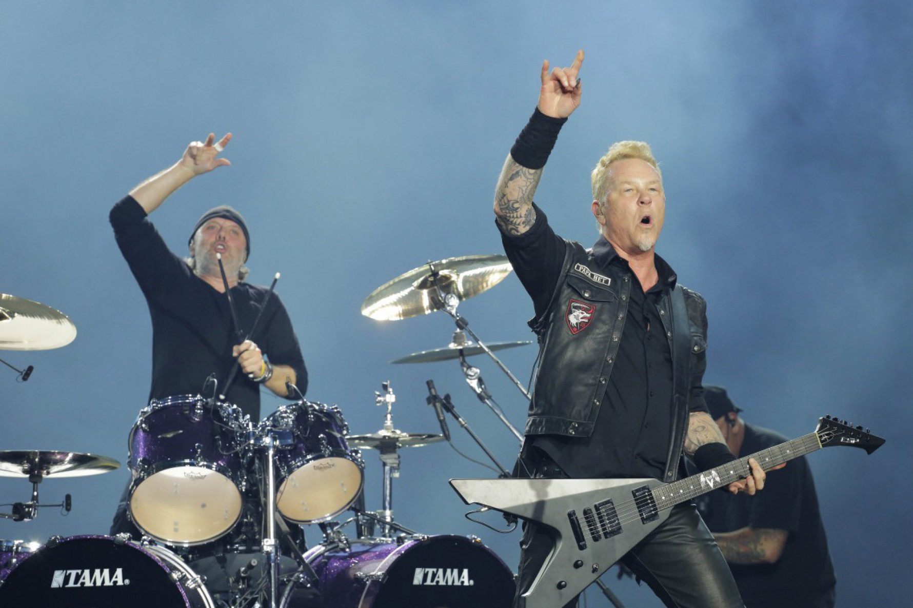 O Metallica se apresenta no Estádio do Morumbi em São Paulo, no dia 10 de maio Macaque in the trees