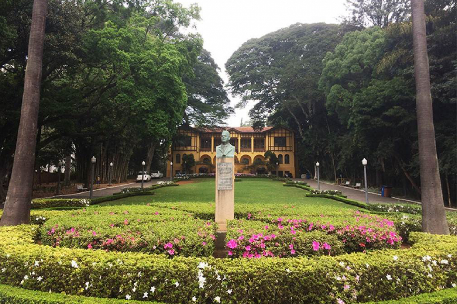 O Parque da Água Branca abriga cerca de 190 espécies de flora, oito de peixes e mais de 40 aves catalogadas em estudos Macaque in the trees